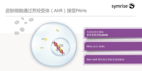 技術(shù)賦能 智美未來——梅鶴祥談化妝品新科技趨勢(shì)與前瞻思考